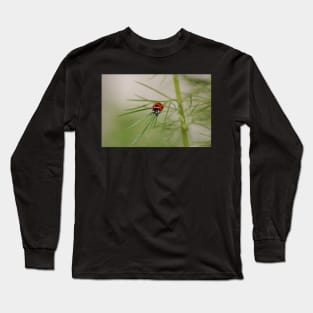 Baby ladybird Long Sleeve T-Shirt